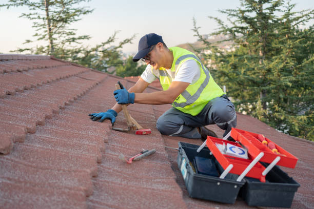 Best Roof Gutter Cleaning  in Hornsby Bend, TX