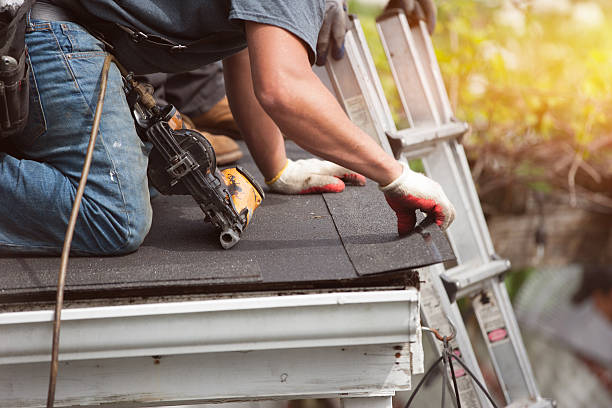 Best Roof Gutter Cleaning  in Hornsby Bend, TX