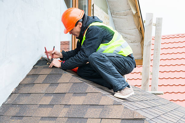 Roof Gutter Cleaning in Hornsby Bend, TX